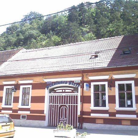 Guesthouse Stefi Risnov Exterior photo